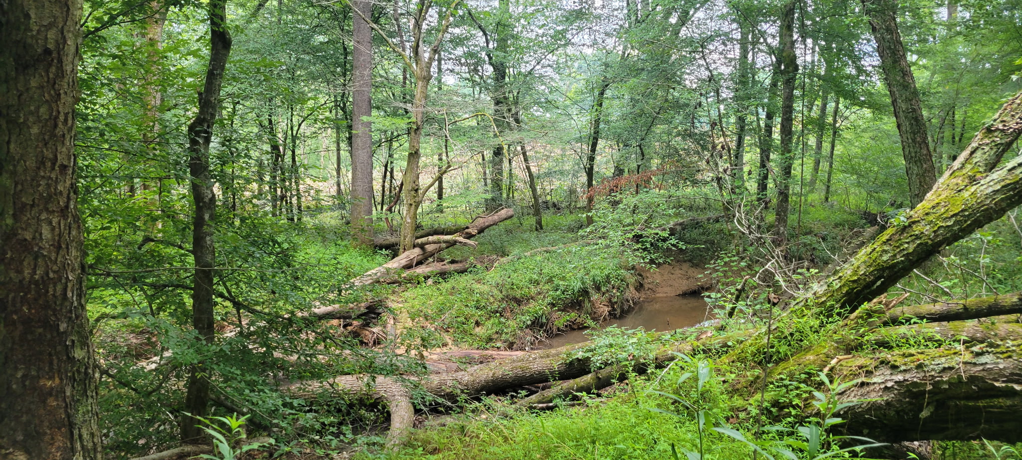 Landscape of Pannage Pork farm in Oxford, NC